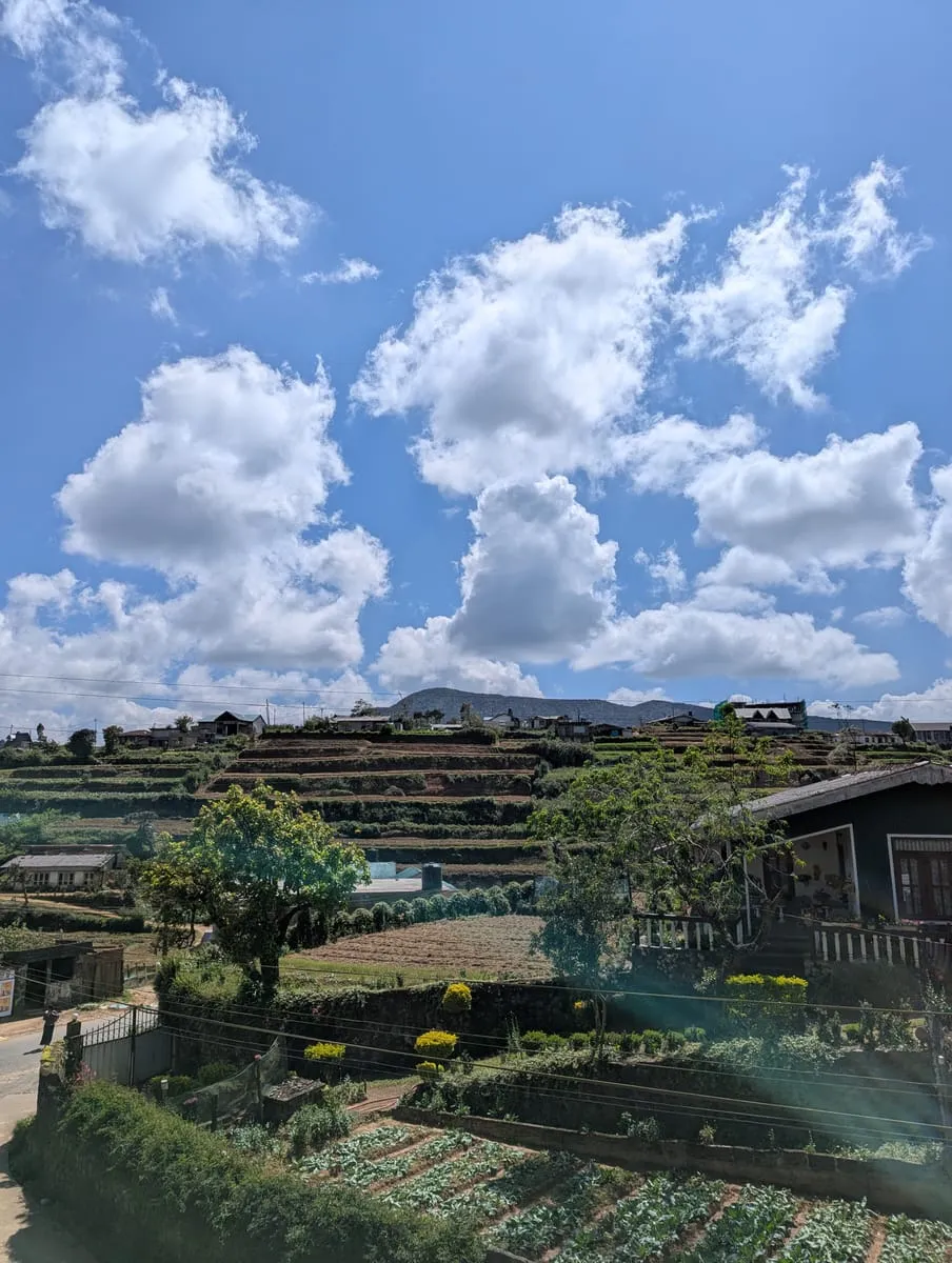 Terraced vegetable fields and village rooftops under tall white clouds, seen from the studio window.